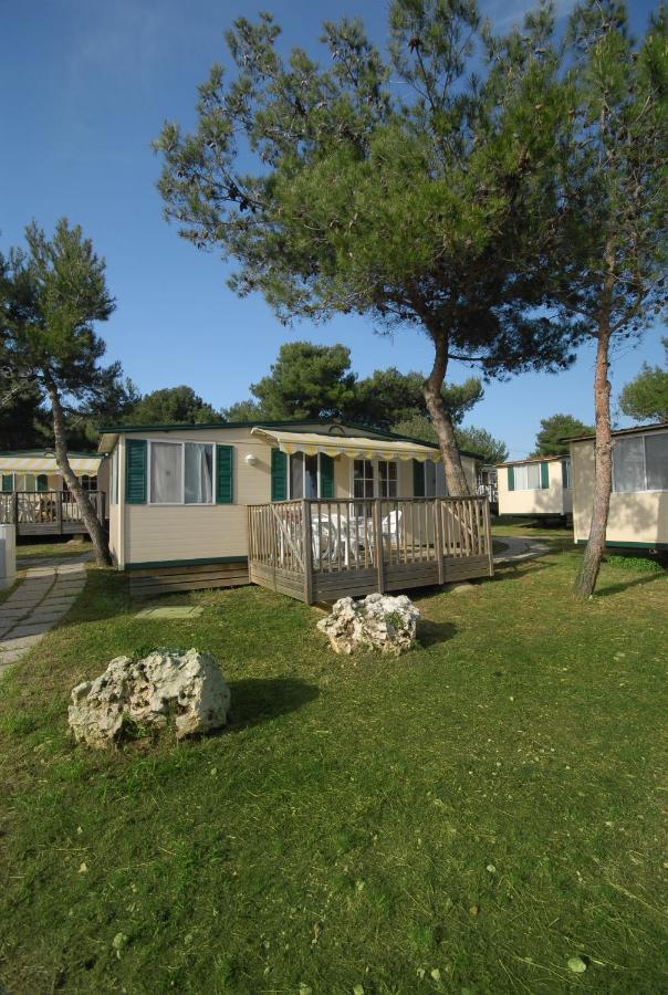 Arena Indije Mobile Homes 2*